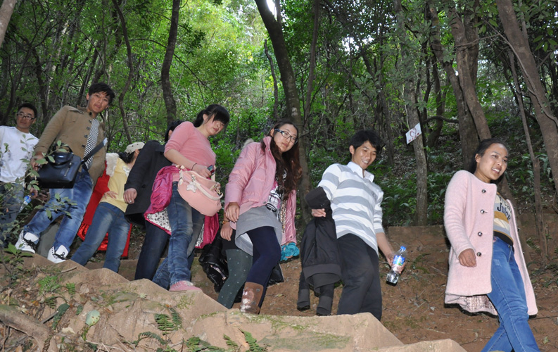 青龍峽位于昆明西郊安寧市青龍鎮(zhèn)滇中生態(tài)大峽谷中，景區(qū)有保存較為完好的植物群落，遮天蔽日的參天古木；有浪漫山花，野果飄香，還有清秀寧靜的田園風光。河谷沿岸古柳成蔭，幾十里的云南櫻花大道成為昆明郊游靚麗的風景線。景區(qū)中溪水潺潺，千姿百態(tài)、千奇百怪的蔓藤風光隨處可見，號稱“都市身旁的小九寨。